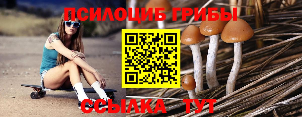 Кудымкар  Галлюциногенные грибы мухоморы  Вход с VPN 