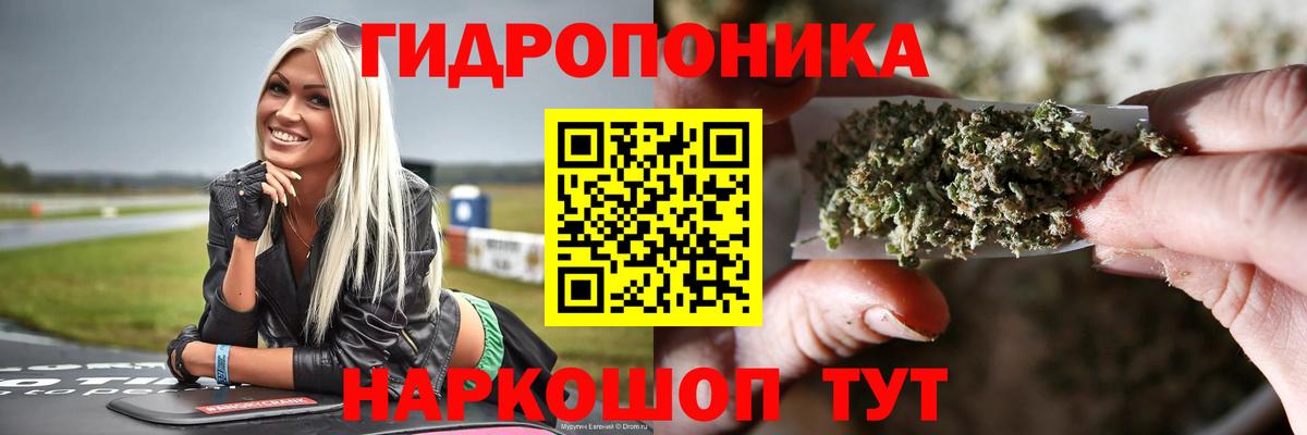 Бошки марихуана сатива  Конопля планчик  Шишки марихуана AK-47  Вход с VPN  Кудымкар  Марихуана конопля 